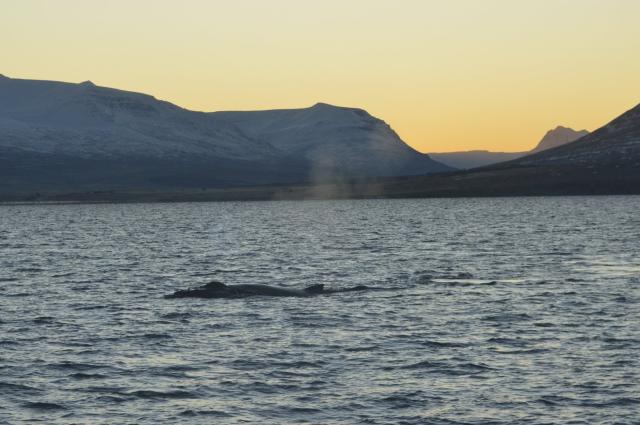 Tuesday, 26 November 2019