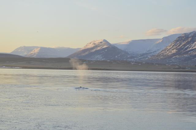 Wednesday, 1 January 2020
