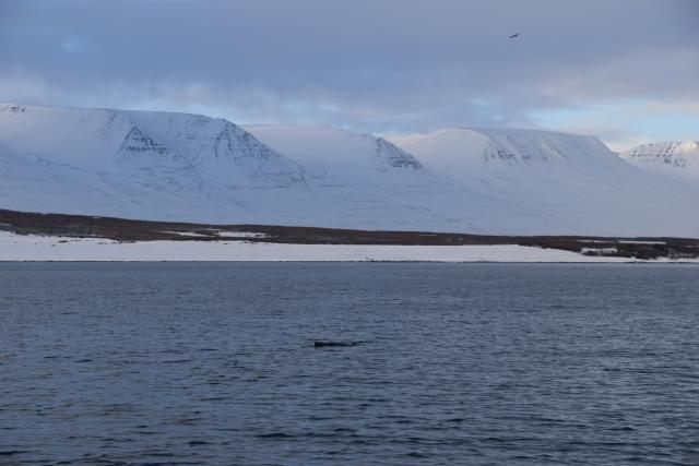 Wednesday, 22 January 2020