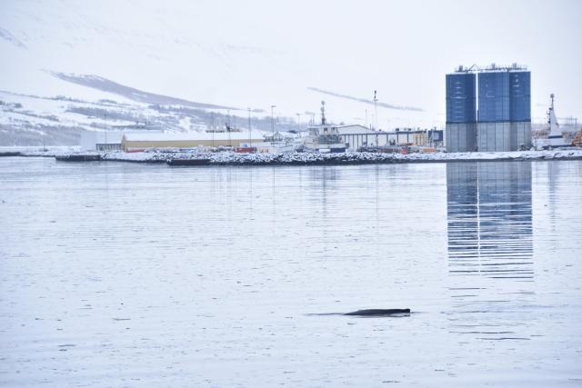 Tuesday, 18 February 2020