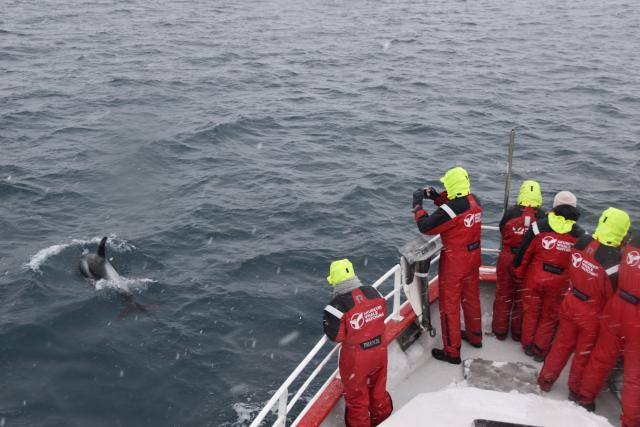 Tuesday, 3 March 2020