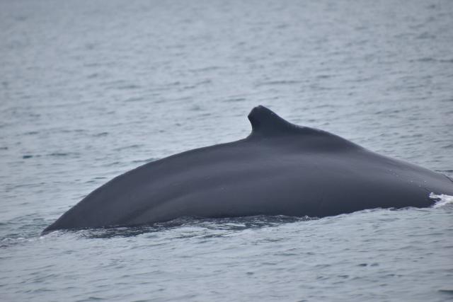 Tuesday, 14 July 2020