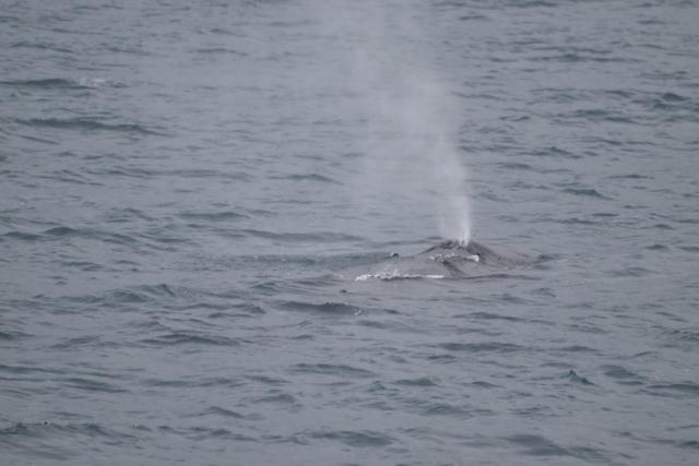 Friday, 3 September 2021