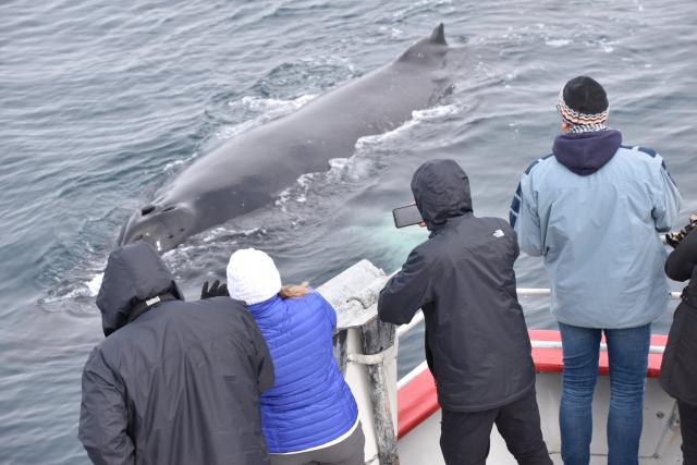 Wednesday, 16 June 2021