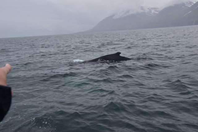 Wednesday, 14 July 2021