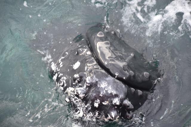 Wednesday, 4 August 2021