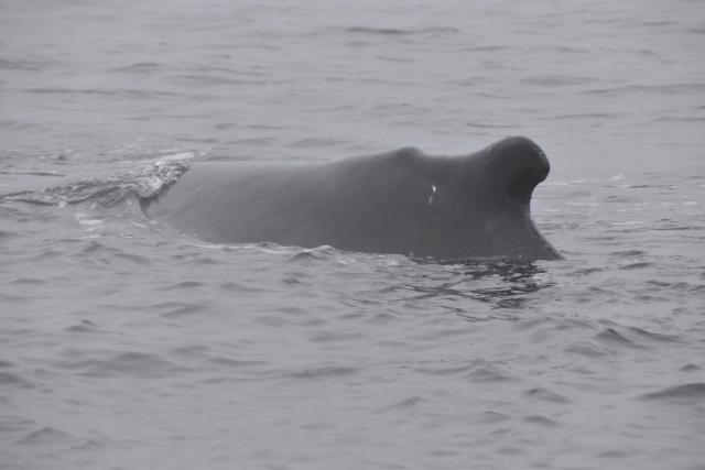 Tuesday, 17 August 2021