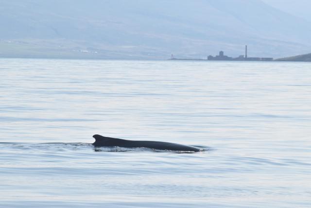 Wednesday, 1 September 2021