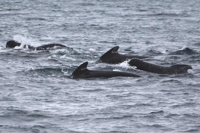 Tuesday, 7 September 2021