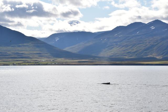 Wednesday, 8 September 2021
