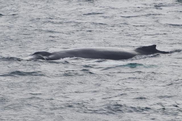 Tuesday, 14 September 2021