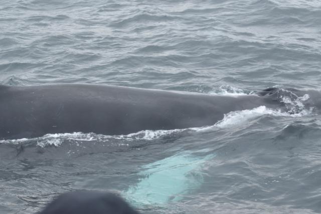 Friday, 17 September 2021