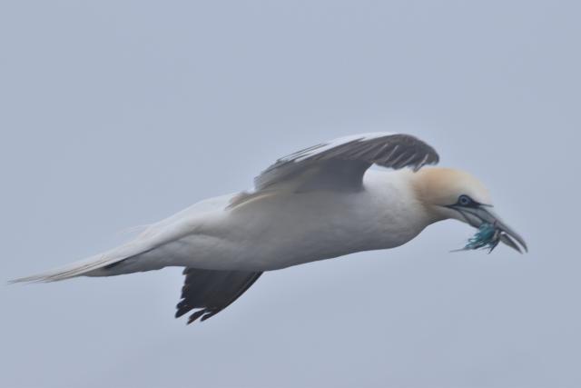 Tuesday, 21 September 2021