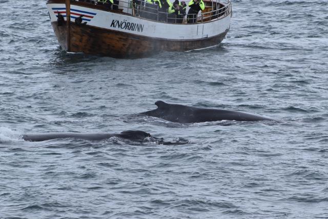 Wednesday, 29 September 2021
