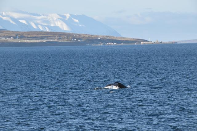 Wednesday, 20 October 2021