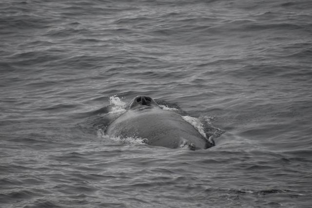 Tuesday, 9 November 2021