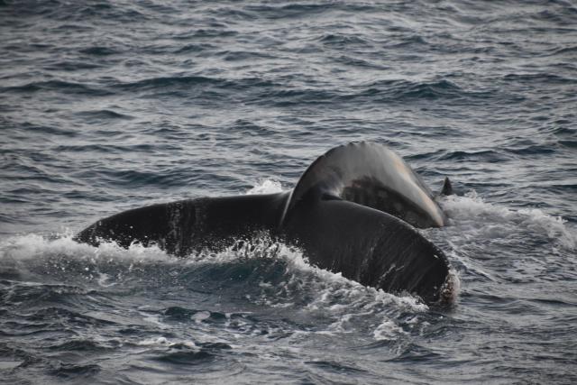 Tuesday, 30 November 2021