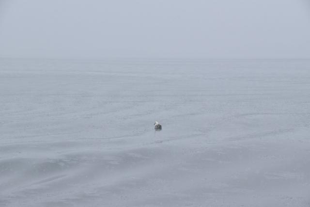Tuesday, 3 May 2022