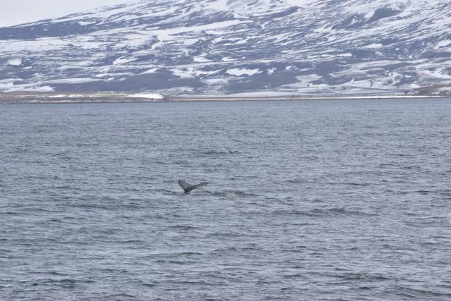 Wednesday, 4 May 2022