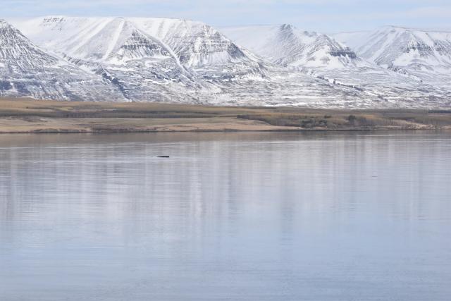 Thursday, 5 May 2022