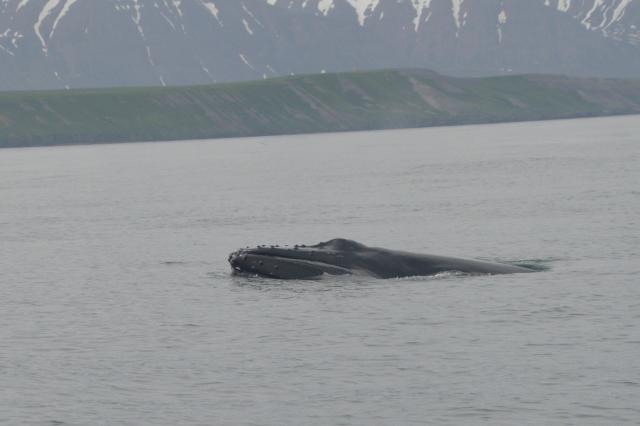 Monday, 13 June 2022