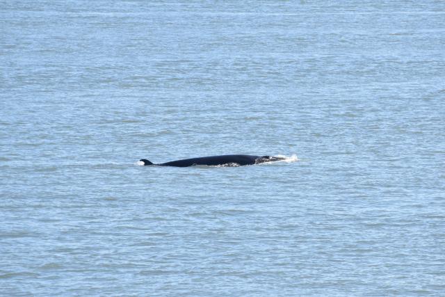 Saturday, 18 June 2022