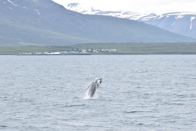 Tuesday, 28 June 2022