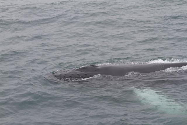 Wednesday, 29 June 2022