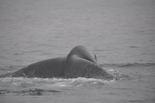 Wednesday, 7 September 2022