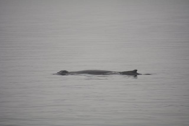 Tuesday, 6 September 2022
