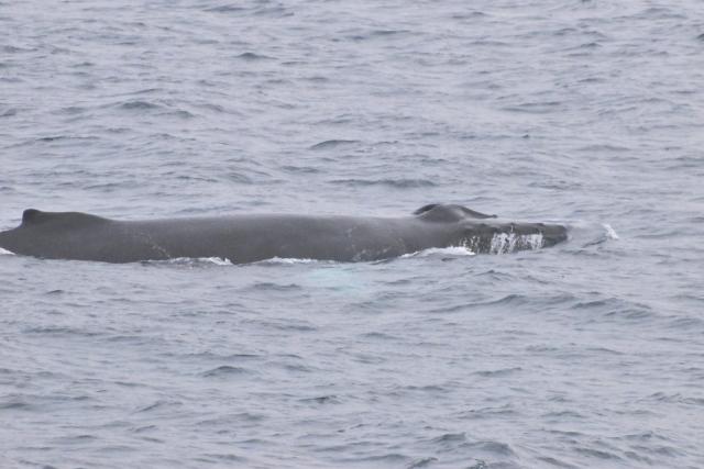 Tuesday, 1 November 2022