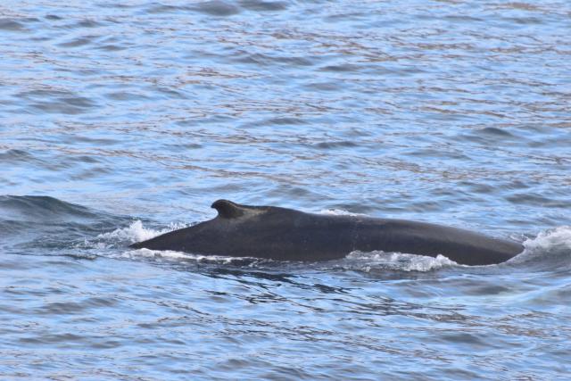 Friday, 4 November 2022