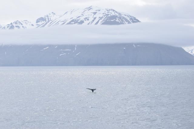 Thursday, 2 June 2022
