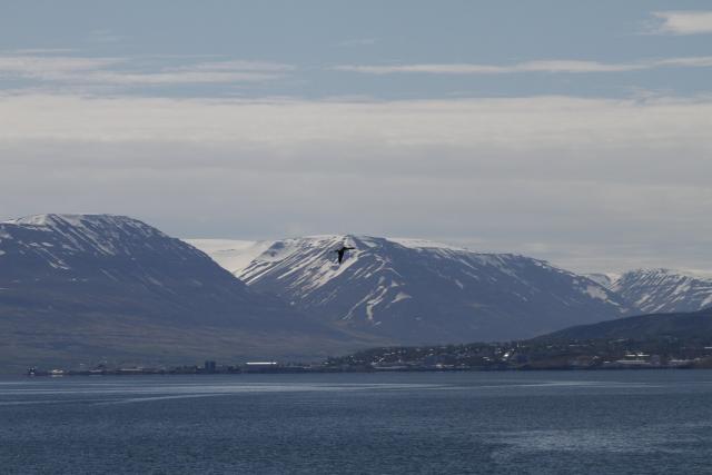 Monday, 6 June 2022