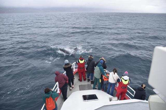 Wednesday, 12 April 2023