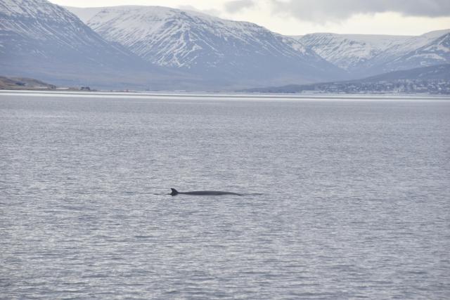 Tuesday, 18 April 2023