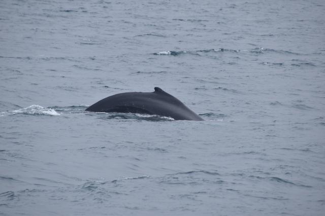 Wednesday, 10 May 2023