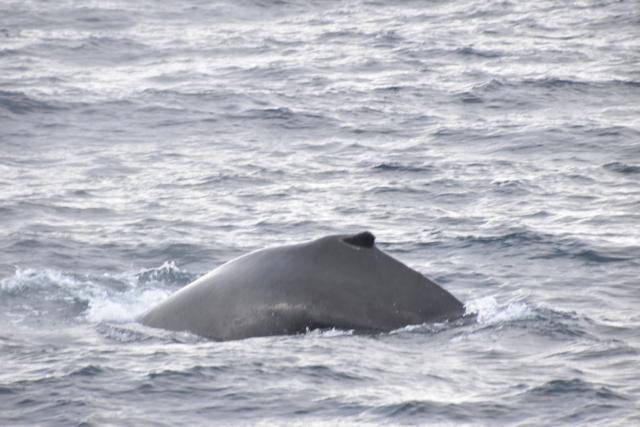 Tuesday, 30 May 2023