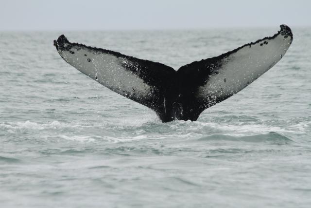 Sunday, 4 June 2023