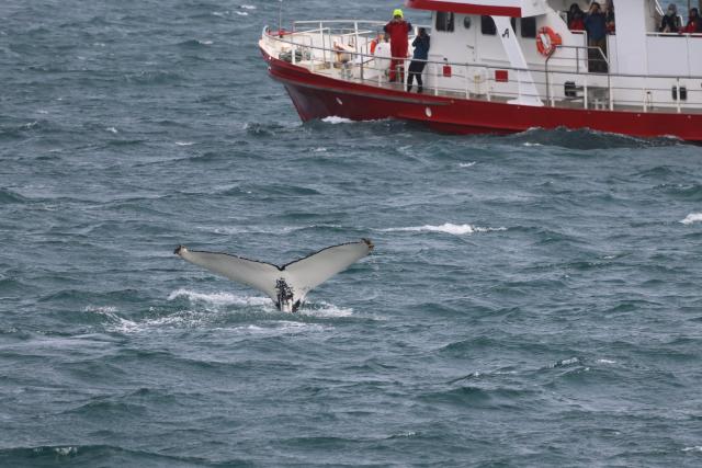 Sunday, 16 July 2023