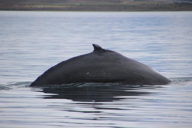 Wednesday, 16 August 2023