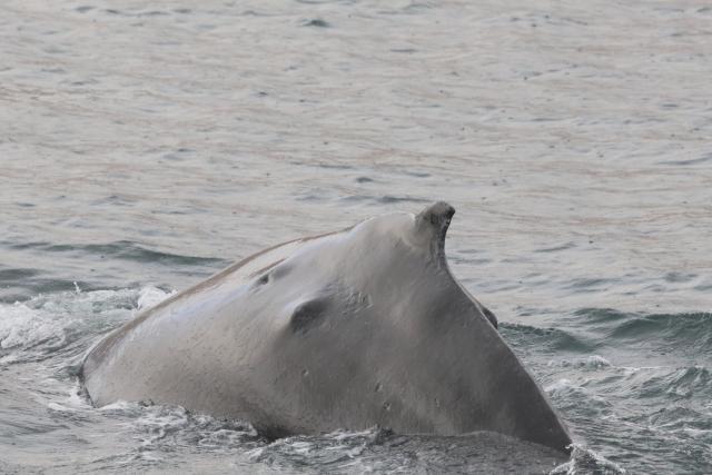 Wednesday, 20 September 2023