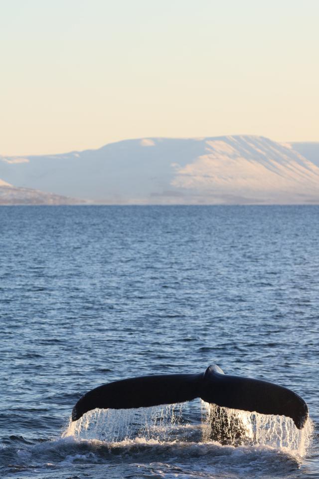 Friday, 10 November 2023
