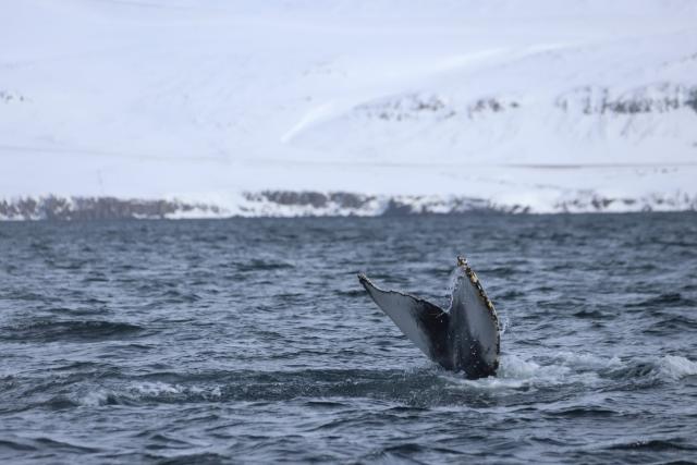 Tuesday, 9 April 2024