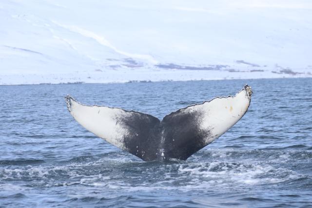 Tuesday, 16 April 2024