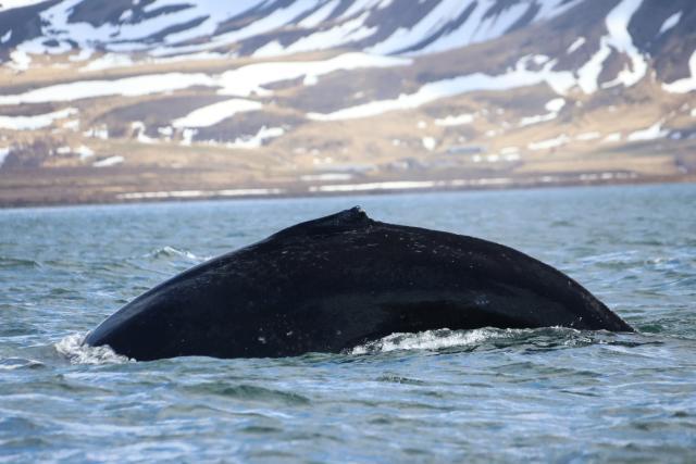 Thursday, 9 May 2024