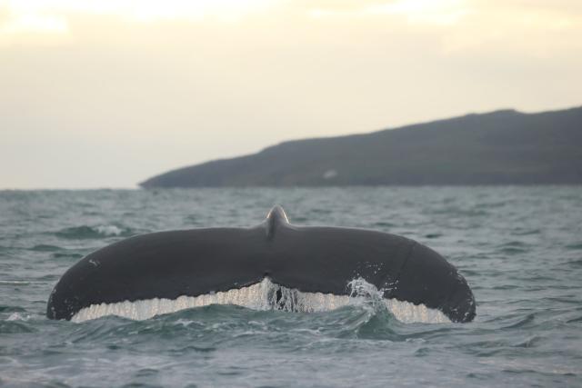 Wednesday, 19 June 2024