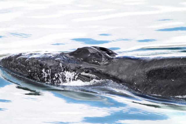 Monday, 24 June 2024