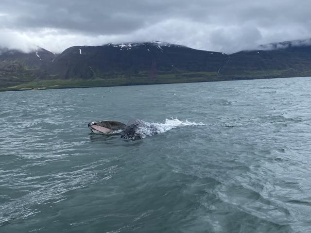 Thursday, 4 July 2024