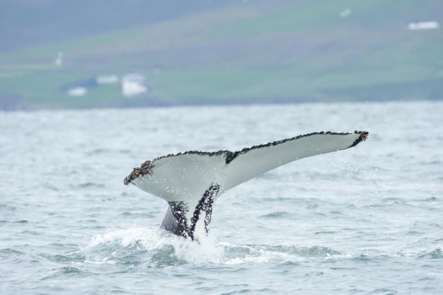 Wednesday, 7 August 2024